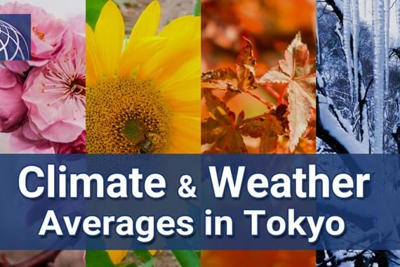 Climate & Weather Averages in Tokyo