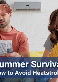 Tokyo Summer Survival Guide