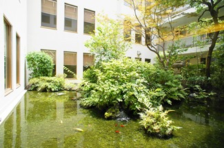 Japanese style pond